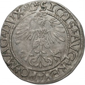 Zygmunt II August (1545-1572) - Półgrosz Wilno 1561 - L/LITV
