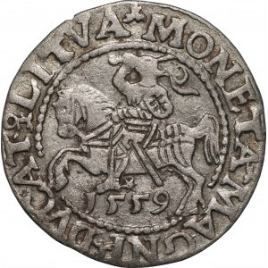 Zygmunt II August (1545-1572) - Półgrosz Wilno 1559 - L/LITVA