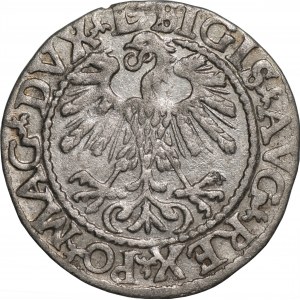 Zygmunt II August (1545-1572) - Półgrosz Wilno 1559 - L/LITVA