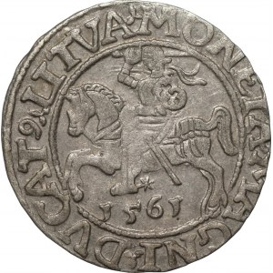 Zygmunt II August (1545-1572) - Półgrosz Wilno 1561 - L/LITVA