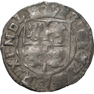 Zygmunt III Waza (1587-1632) - Półtorak z hakami 1616 - Kraków