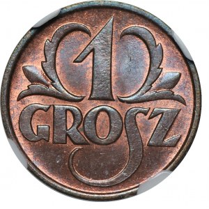 1 grosz 1925 - NGC MS64 RB