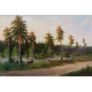 Ignacy Strubel, Szczecin Pits, Warsaw, 1905.