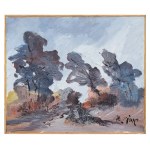 Andrew Maciej Ciok, Landscape