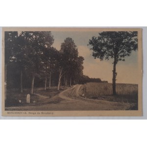 Kościerzyna. La route menant au stand de tir.