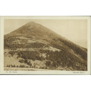 14 LA RÉGION DES HOUCOULES – Jamna n° 195, photo de L. et M. Heller, éd. Aba Heller, librairie de Nadwórna, impression sépia, 1928,