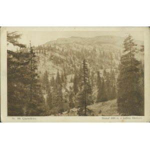 14 HUCULSZCZYZNA - Czarnohora, Homuł z kotliny Danżyca Nr 198, Fot. L. i M. Heller, Nakł. Aba Heller, Księg. w Nadwórnej, druk sepia, 1928,