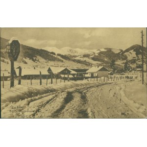 11 HUCULSZCZYZNA - Żabie. Widok na Czarnohorę, Nr 236, Fot. Art. M. Seńkowski, Kosów, druk sepia., 1928