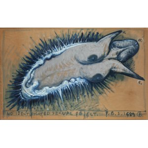 Franciszek Starowieyski (1930 Bratkówka near Krosno - 2009 Warsaw), Unidentified Sexual Object, 1989