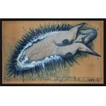 Franciszek Starowieyski (1930 Bratkówka near Krosno - 2009 Warsaw), Unidentified Sexual Object, 1989