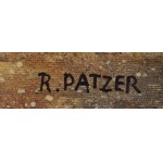 Ryszard Patzer (nar. 1941), Zaulek