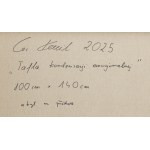 Kamil Gos (b. 1989, Wolomin), A sheet of emotional condensation, 2025