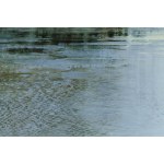 Jagoda Kaczmarczyk-Hudzik (b. 1966, Krakow), Vistula Landscape CXXIV, 2026