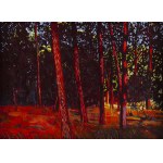 Paweł Daciuk (ur. 1977, Parczew), 