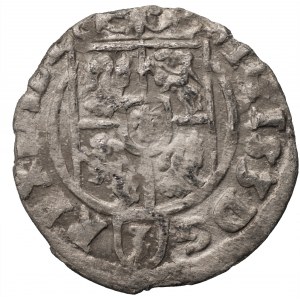 Zygmunt III Waza (1587-1632) - Półtorak 1624