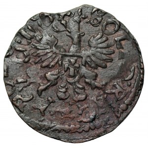 Jan II Kazimierz (1648-1668) - Szeląg 166.., podwójnie uderzony