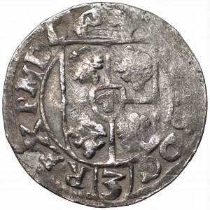 Zygmunt III Waza (1587-1632) - Półtorak 1614 kropki przy jabłku, Bydgoszcz - Kolekcja Górecki