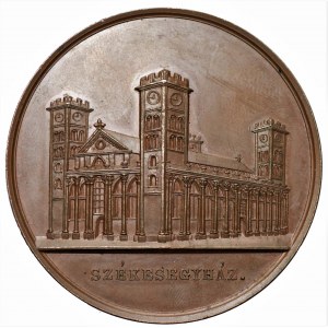 WĘGRY - medal pamiątkowy zjazd lekarzy i przyrodników 1845