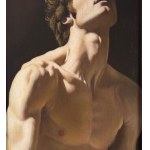 ANONIMO, Portrait of a young man with a bare torso