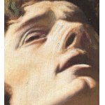 ANONIMO, Portrait of a young man with a bare torso