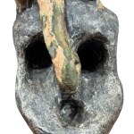 Skull with a reptile