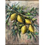 ANONIMO, Still Life (lemons)