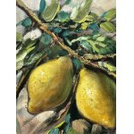 ANONIMO, Still Life (lemons)