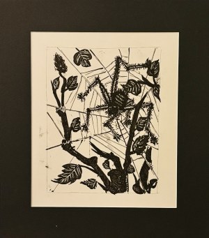 Pablo Picasso (1881-1973), Pająk, z cyklu 31 rycin do tekstów Buffona, 1970