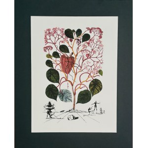 Salvador Dalí (1904-1989), Dalla serie Flordali: Le Begonie, 1979