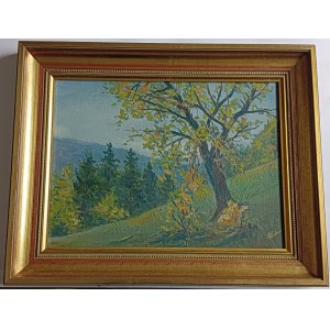 AUTHOR UNKNOWN, MOUNTAINS, OIL PLATE, SIGNATURE ILLEGIBLE