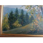 AUTHOR UNKNOWN, MOUNTAINS, OIL PLATE, SIGNATURE ILLEGIBLE
