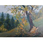 AUTHOR UNKNOWN, MOUNTAINS, OIL PLATE, SIGNATURE ILLEGIBLE