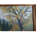 AUTHOR UNKNOWN, MOUNTAINS, OIL PLATE, SIGNATURE ILLEGIBLE