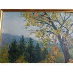 AUTHOR UNKNOWN, MOUNTAINS, OIL PLATE, SIGNATURE ILLEGIBLE