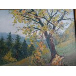 AUTHOR UNKNOWN, MOUNTAINS, OIL PLATE, SIGNATURE ILLEGIBLE