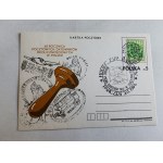 PRL POSTCARD 65TH ANNIVERSARY OF POSTAL COMMEMORATIVE DATING IN POLAND 1984. STEMPEL