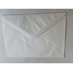 WACLAW II PENNY ENVELOPE 1995. STAMP