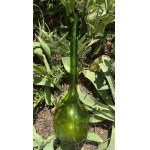 proj. Zbigniew HORBOWY (1935 - 2019), "Chianti" cylinder, Economic Glassworks "Sudety".