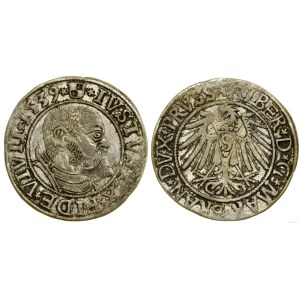 Ducal Prussia (1525-1657), penny, 1539, Königsberg