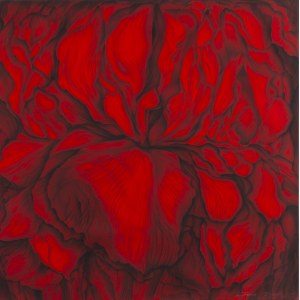 Hanna Rozpara (b. 1990, Sosnowiec), Irises in Red, 2025
