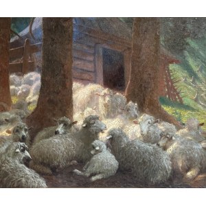 Zephyrin Cwiklinski, Homestead with sheep - South