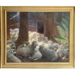 Zephyrin Cwiklinski, Homestead with sheep - South