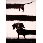 by Ryszard KAJA (1962–2019), The Napięcie Theater Presents (...) Act I, Jamniki, 2017
