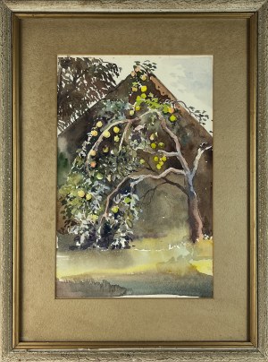 Wiktor ZIN (1925 - 2007), Owocująca jabłoń