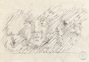 Franciszek STAROWIEYSKI (1930 Bratkówka k. Krosna - 2009 Warszawa), Twarz