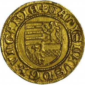 Węgry, Władysław V 1453-1457, Goldgulden 1455-6, Nagybanya, RZADKI
