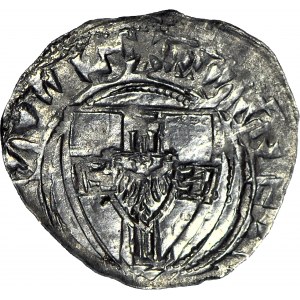 Řád německých rytířů, Winrych von Kniprode 1351-1382, kvartýrmistr, krásný