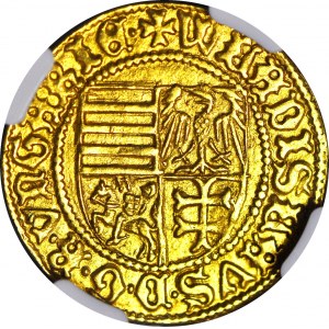 RR- Władysław Warneńczyk goldgulden 1441 r, pierwsza złota moneta z herbami Rzeczypospolitej