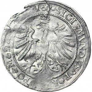 RRR-, Zygmunt I Stary, Grosz 1535 SIERPIEŃ