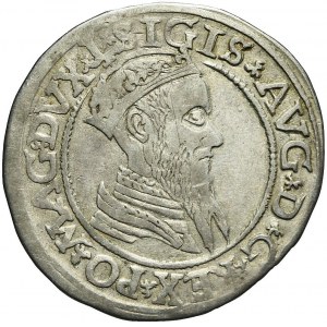 Zygmunt II August, Czworak 1566, Wilno